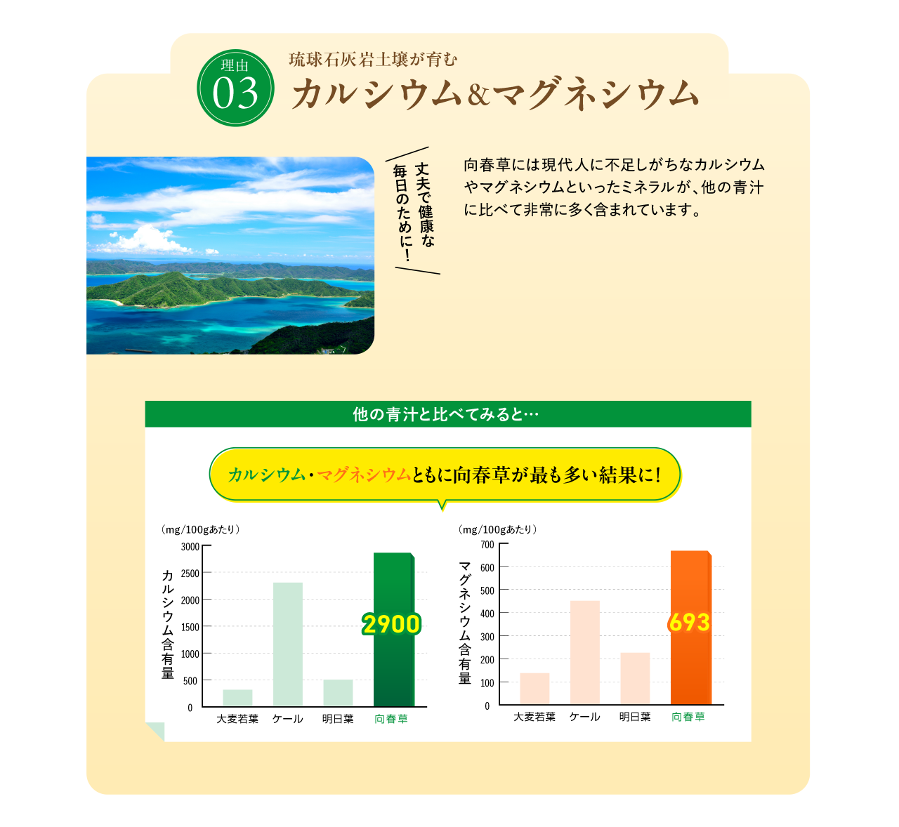 琉球石灰岩土壌が育む カルシウム&マグネシウム
