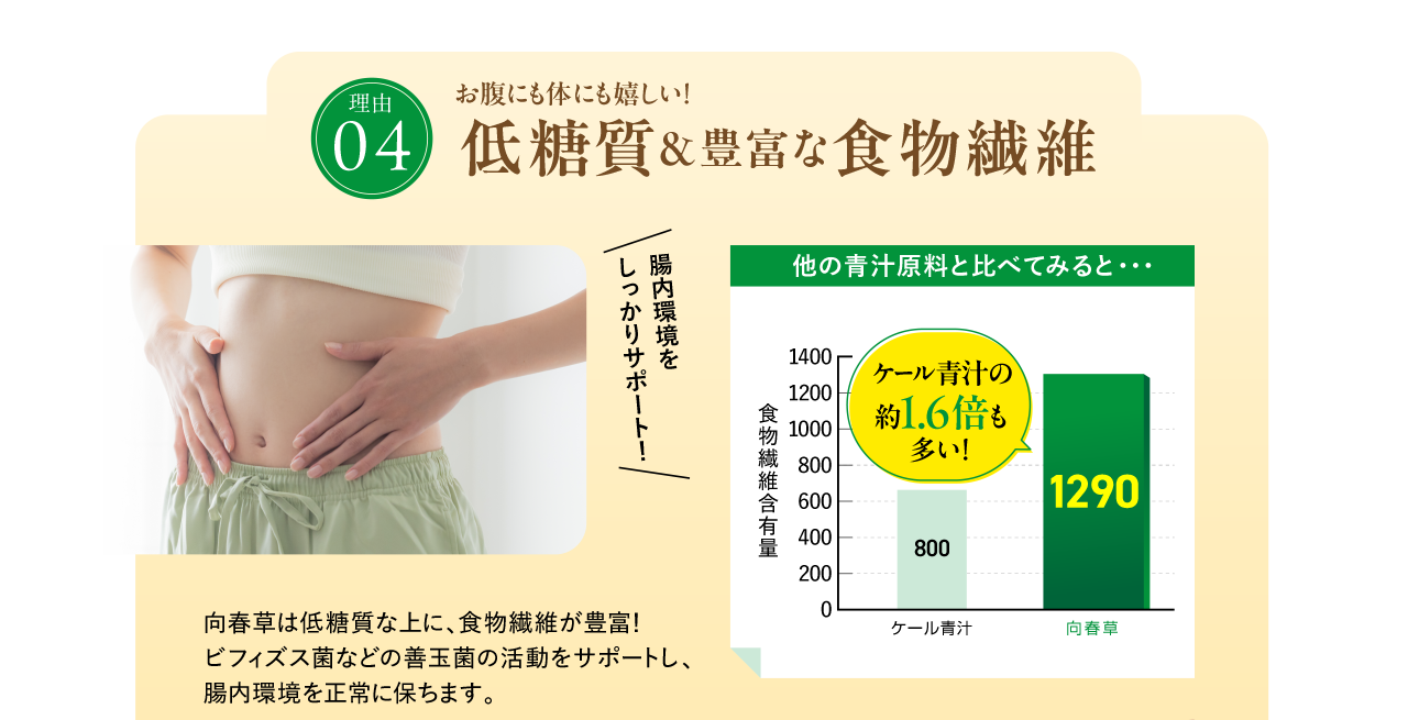 低糖質＆豊富な食物繊維