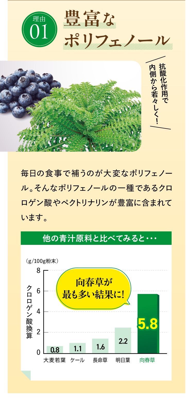 豊富なポリフェノール