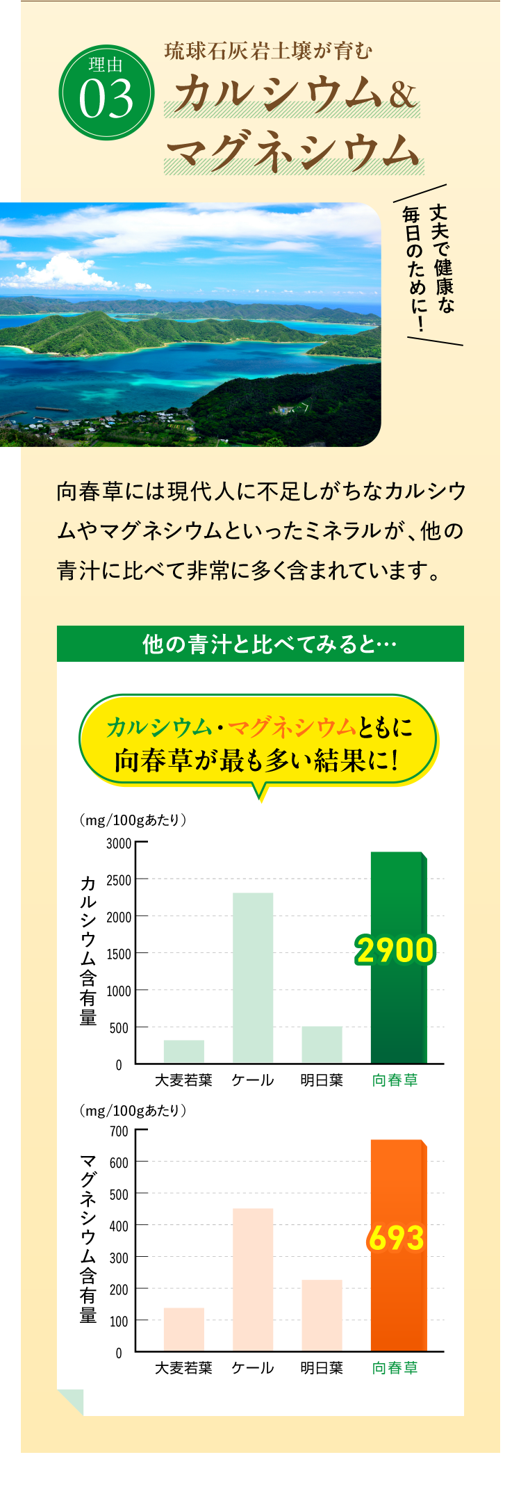 琉球石灰岩土壌が育む カルシウム&マグネシウム